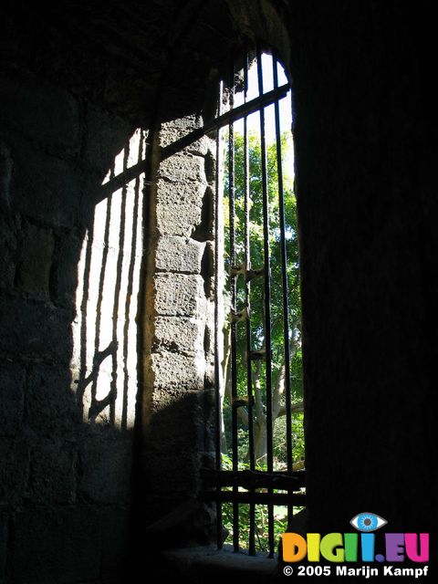 13254 Window in abbey